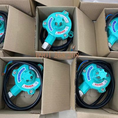 ĐẦU DÒ GAS PHÒNG NỔ EA-100 TOP GAS